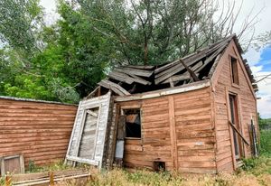 Dilapidated wooden shed with a collapsed roof and peeling white door in an overgrown yard