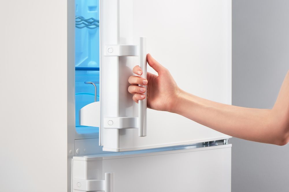 Person Opening White Refrigerator Door On a Gray Background — Entire Trades in Port Stephens, NSW