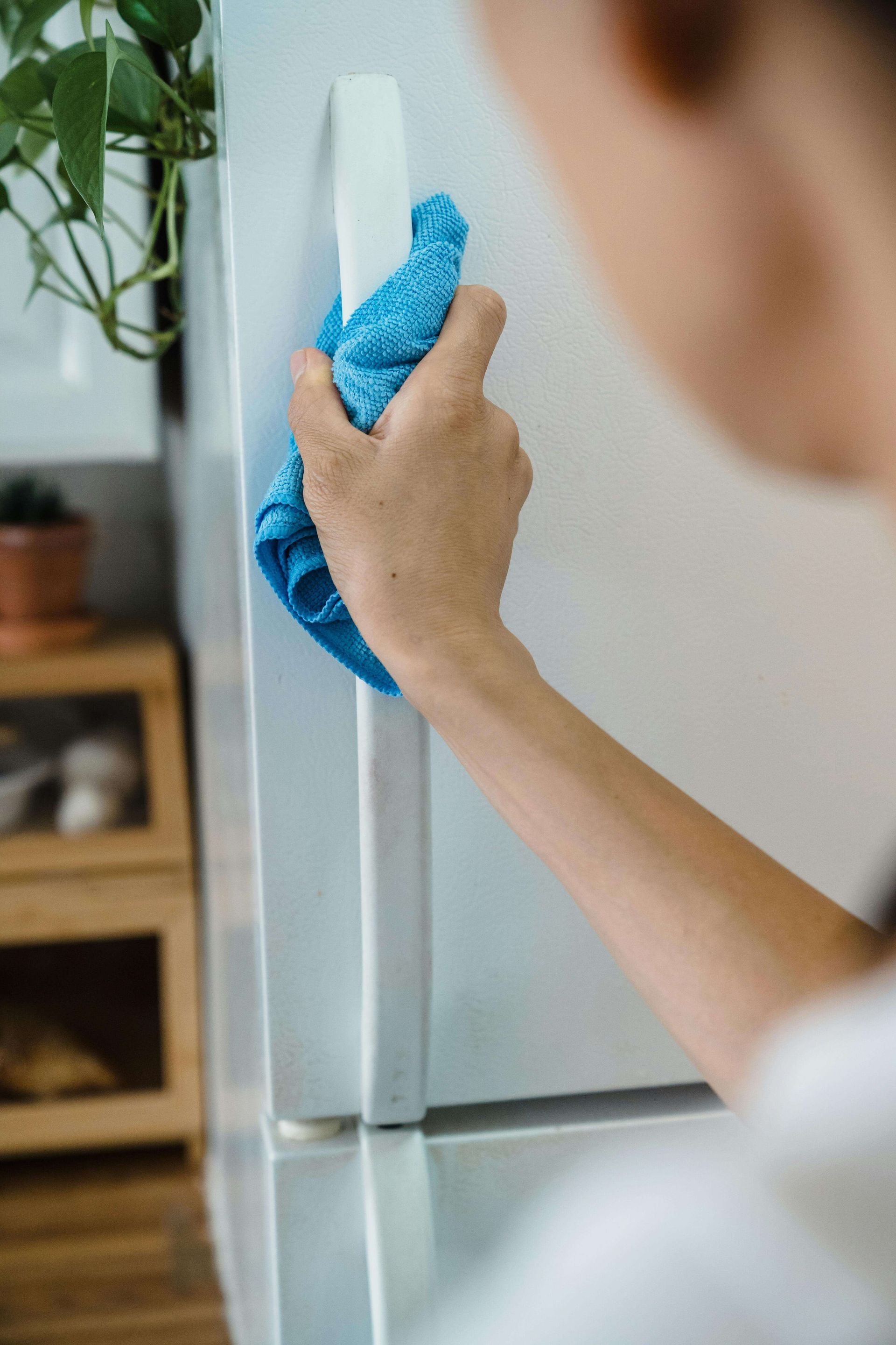 Appliance deep cleaning for moving