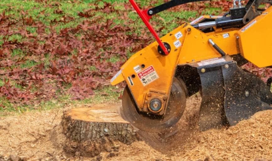 A stump grinder is cutting a tree stump in a yard.