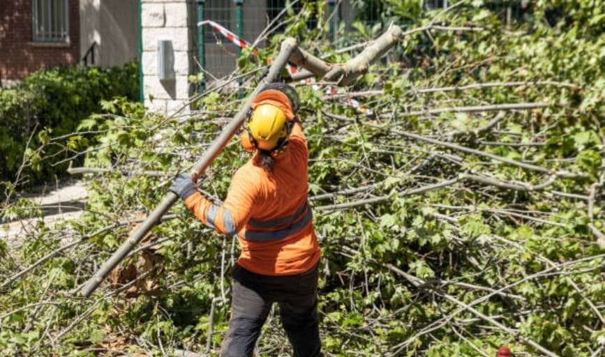 A man is cutting a tree branch with a chainsaw.