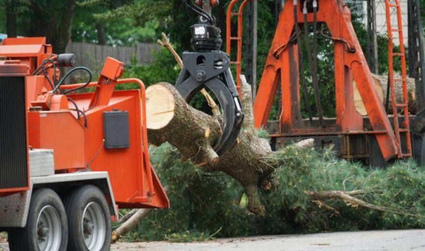 A tree is being cut down by a machine.