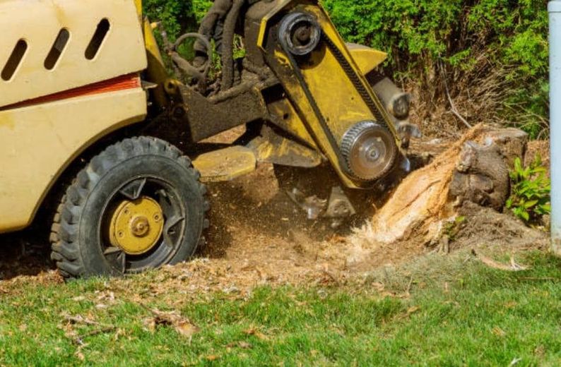 A machine is stump grinding a tree stump in a yard.