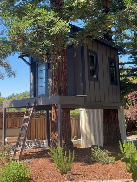 Elevated tiny house among trees with ladder and curtains underneath
