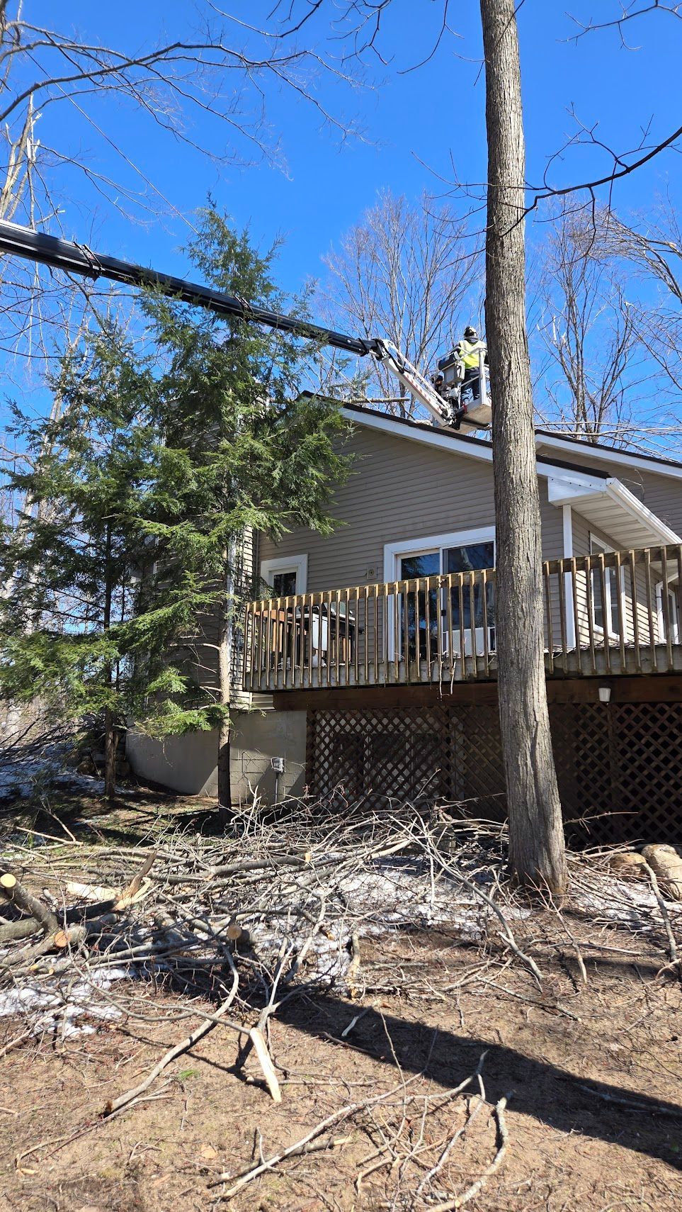 A worker in a bucket truck cuts tree branches over a house roof on a sunny day.