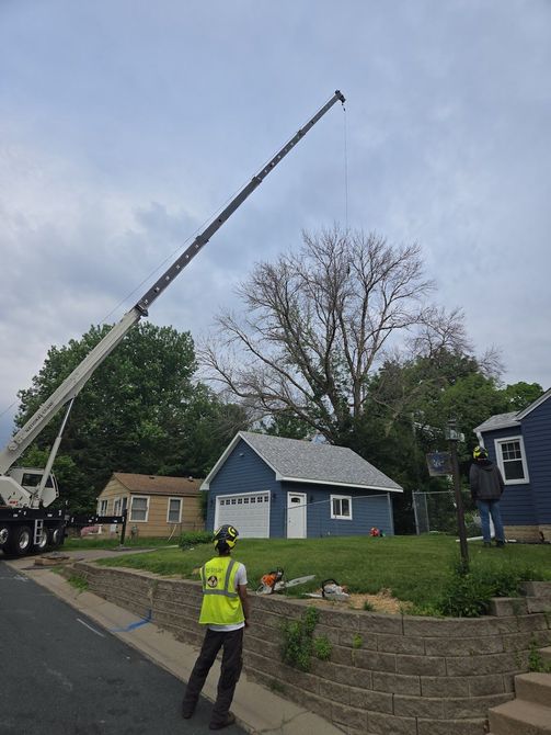A worker in a yellow safety vest watches a tall crane positioned to remove a large tree near a blue house and garage.