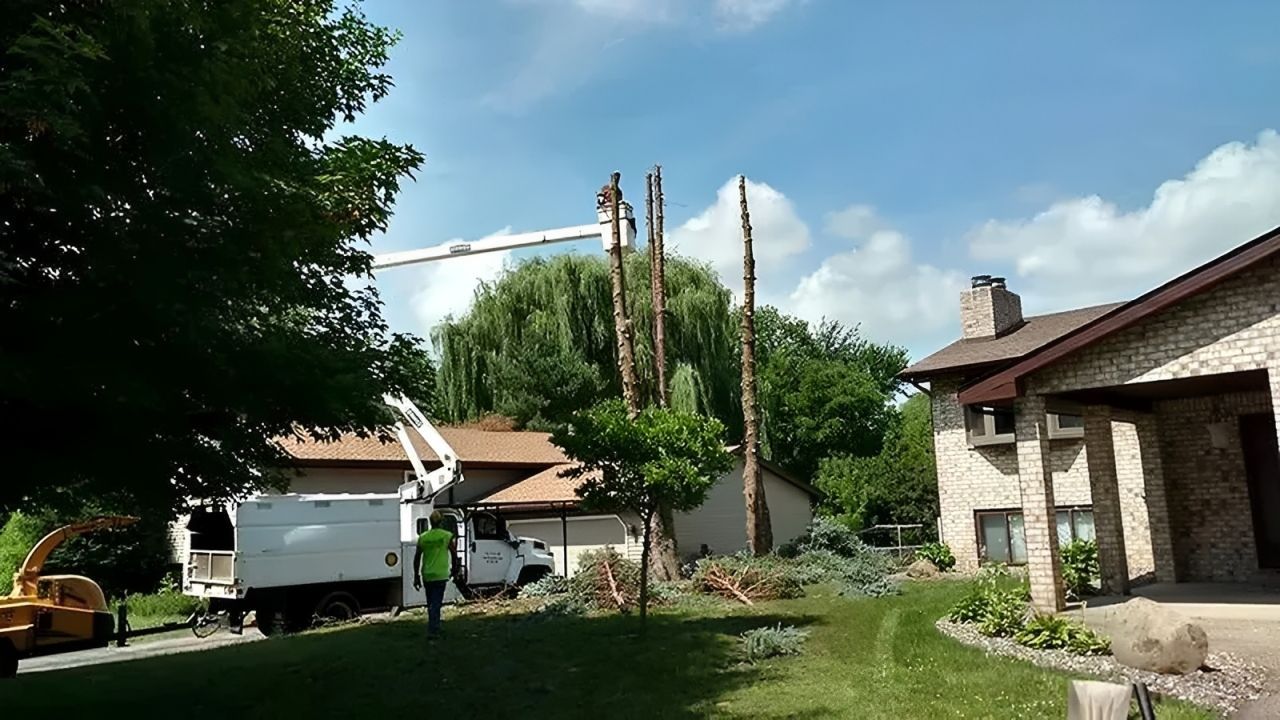 White utility truck and workers beside a house and tall trees on a sunny residential street