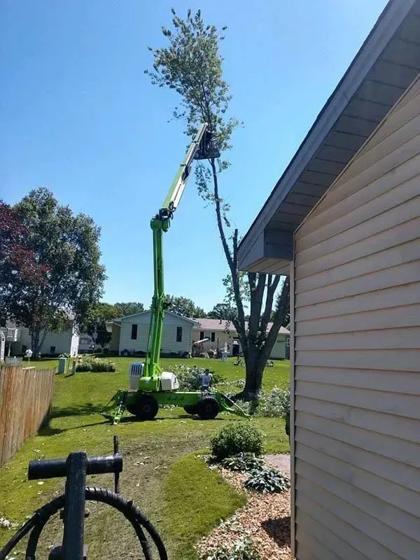 A bright green cherry picker lifts a worker to prune the top of a tall tree next to a tan house on a sunny day.