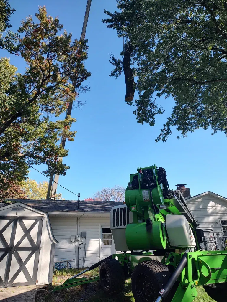 A green crane removes a section of a tree, which is suspended in the air above a residential backyard and house.