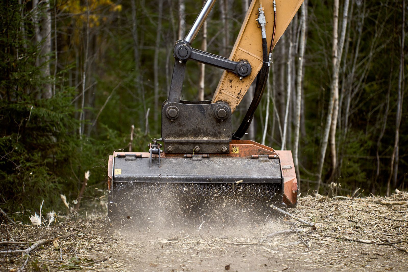 A heavy-duty forestry mulcher attachment mounted on an excavator clears wood and brush in a forest setting.