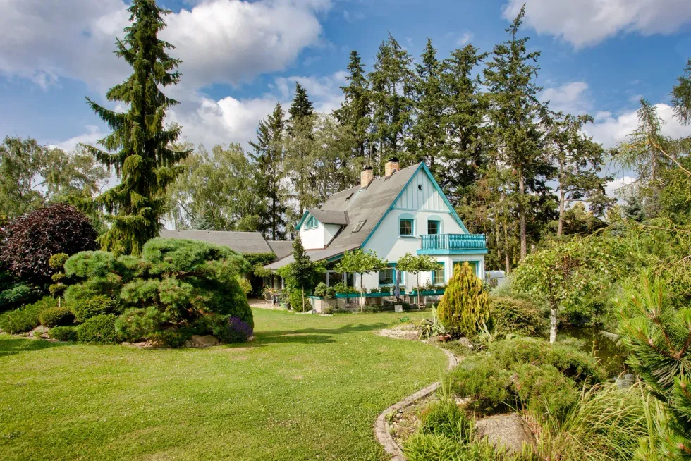 A pale blue house with a dark roof nestled in a lush, green garden surrounded by tall, dense evergreen trees.