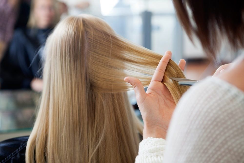 Hairdresser Cutting Womans Hair — Hair Salon in Sippy Downs, QLD Hairdresser Cutting Mans Hair — Hair Salon in Sippy Downs, QLD