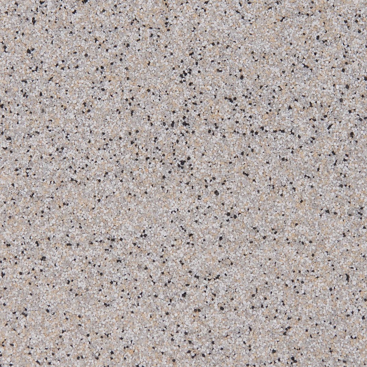 A close-up, high-angle texture of light beige granite with small, evenly distributed black and dark gray speckles.