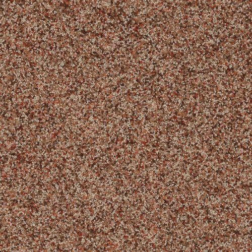 A textured background featuring a dense, speckled pattern of reddish-brown, tan, and dark gray grains.