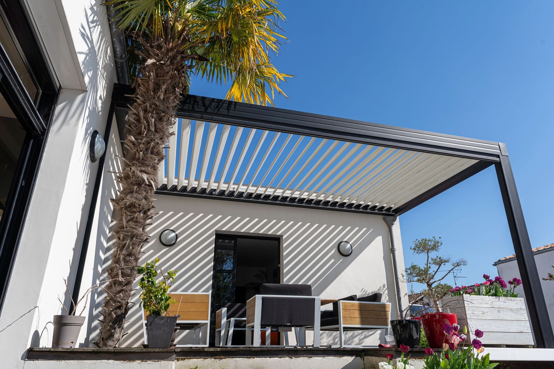 Patio con pergola, tavolo da pranzo da esterno, palma e piante in vaso accanto a una casa moderna