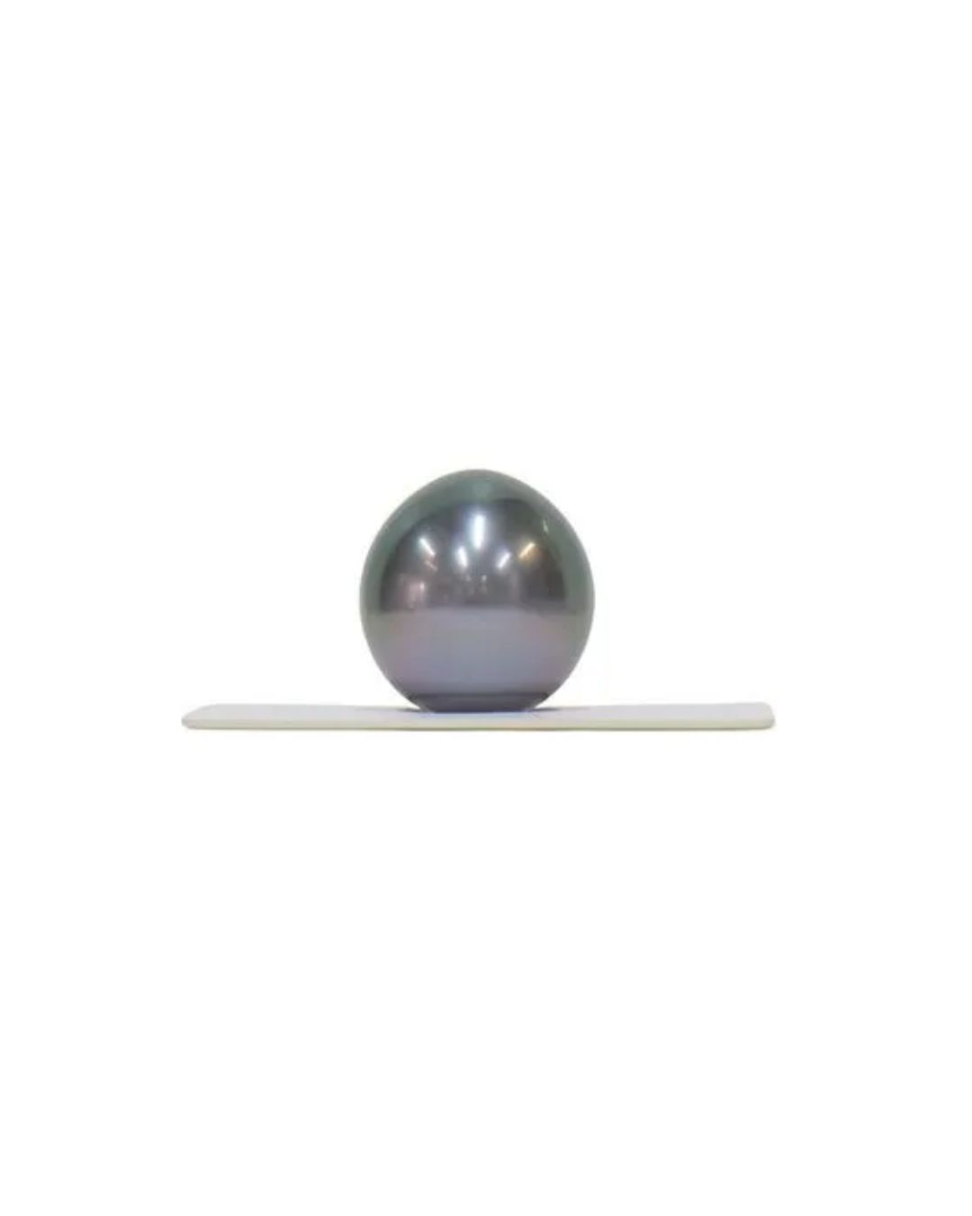 Loose pearl resting on oyster shell