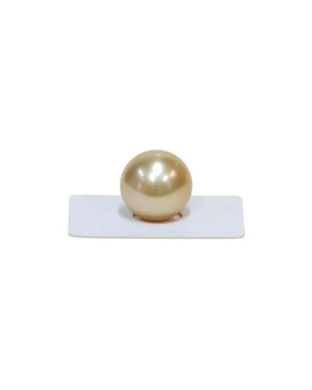 A single, lustrous golden South Sea pearl rests on a small white rectangular display stand against a plain background.