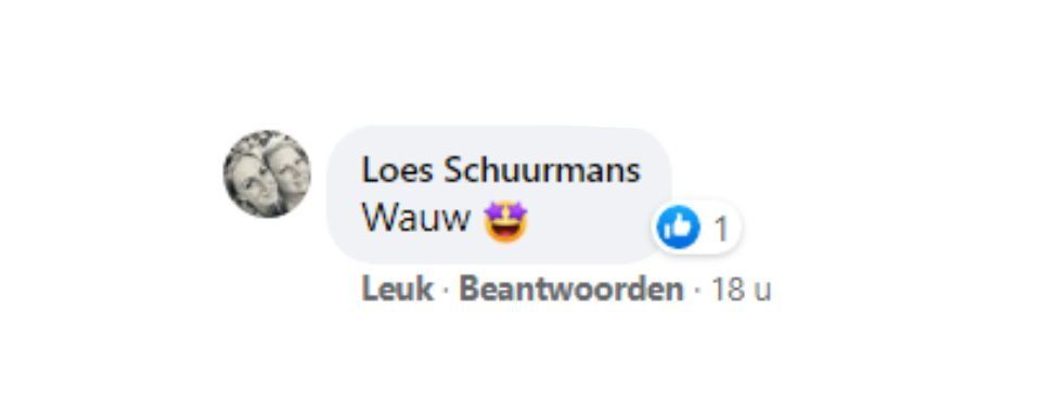 Facebook-reactie van Loes Schuurmans met de tekst 
