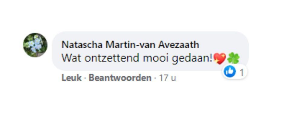 Facebook comment: “Wat ontzettend mooi gedaan!” with heart and clover emojis, 1 like