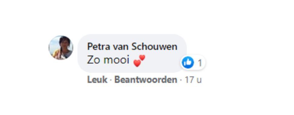 Facebook comment from Petra van Schouwen saying “Zo mooi” with a heart and a like count of 1