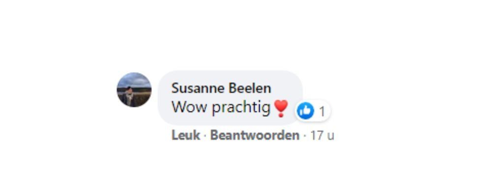 Facebook-reactie van Susanne Beelen met de tekst 