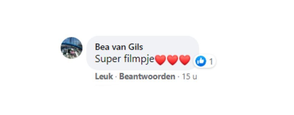 Facebook-reactie van Bea van Gils met de tekst 
