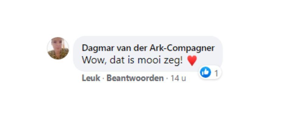 Facebook comment from Dagmar van der Ark-Compagner saying, “Wow, dat is mooi zeg!”, with 1 like