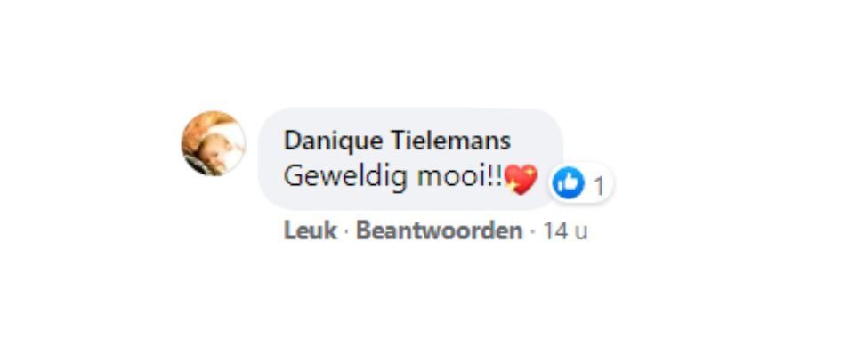 A Facebook comment from Danique Tielemans saying “Geweldig mooi!!” with a heart reaction and like count.