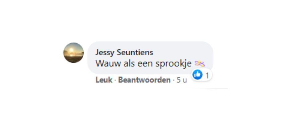 Comment in a social media reply: “Wauw als een sprookje” with a blue heart reaction.