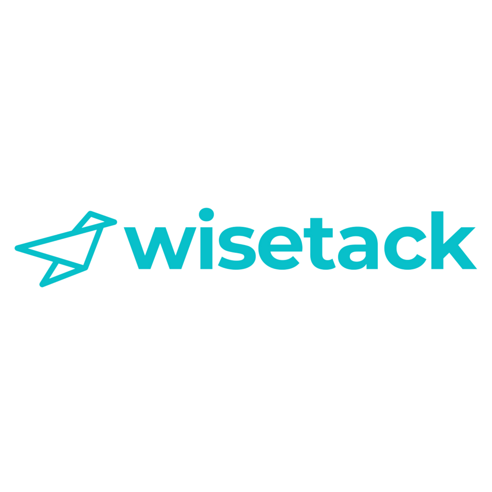 TCF Emergency Plumbing & Heating - Logo of Wisetack with a teal origami bird and text.