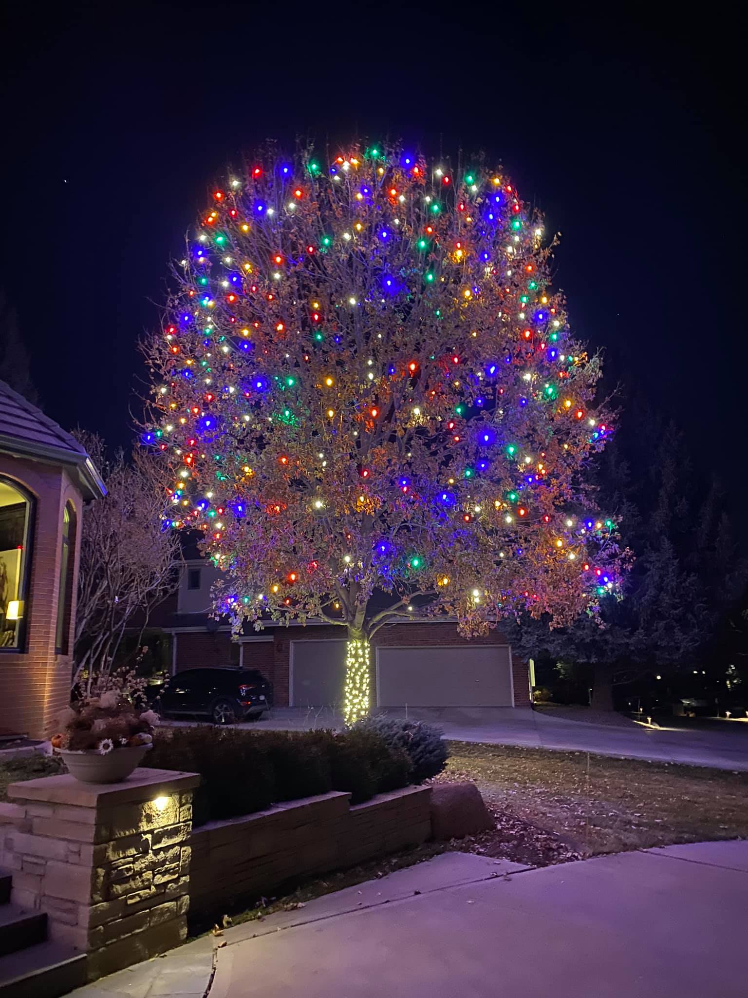 Hanging Holiday Lights Denver, CO Applewoods Landscaping