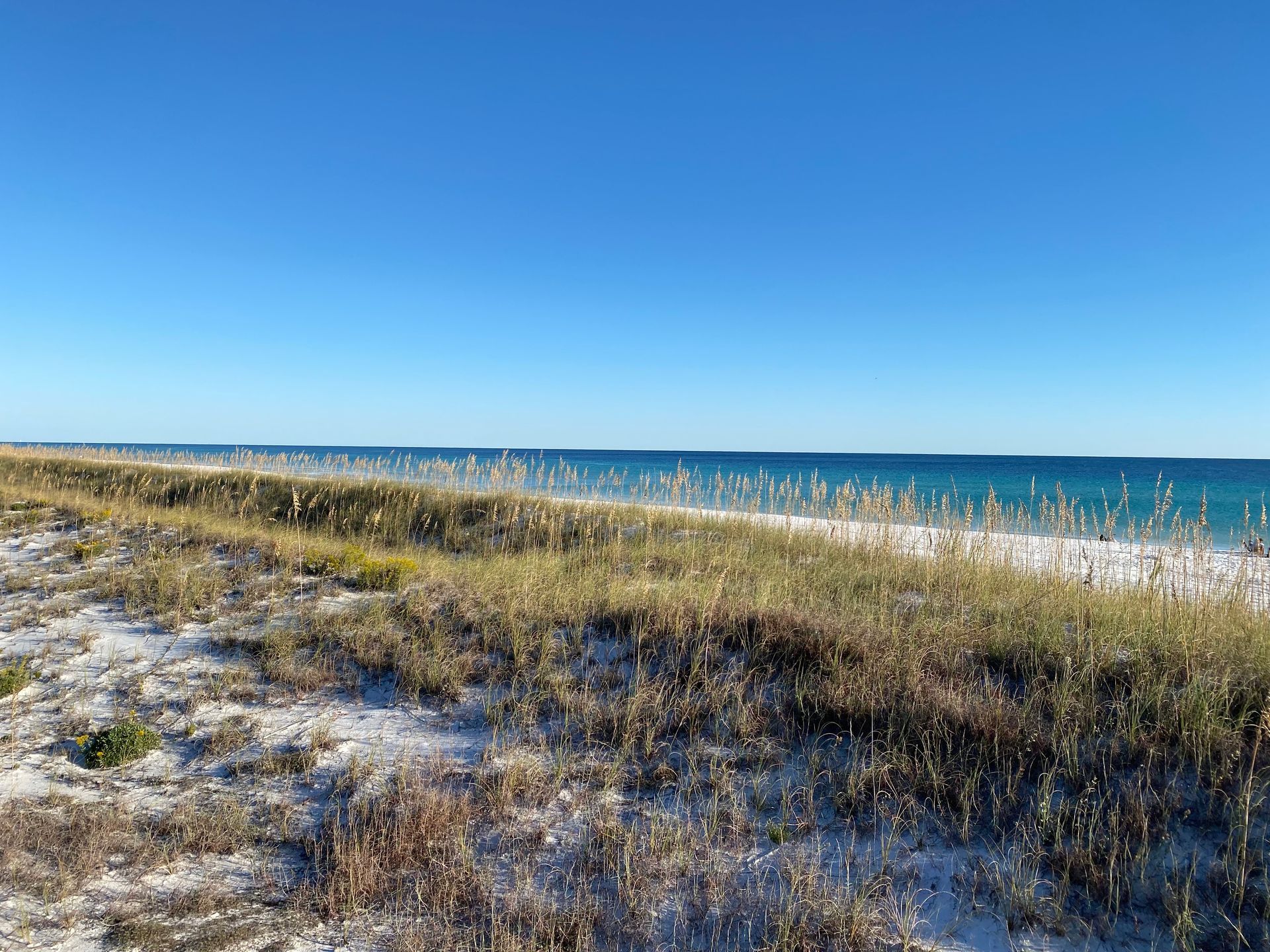 Henderson Beach State Park Destin Florida