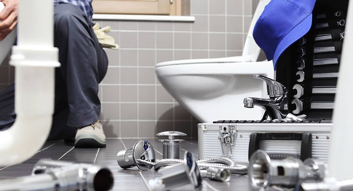 Toilet Services