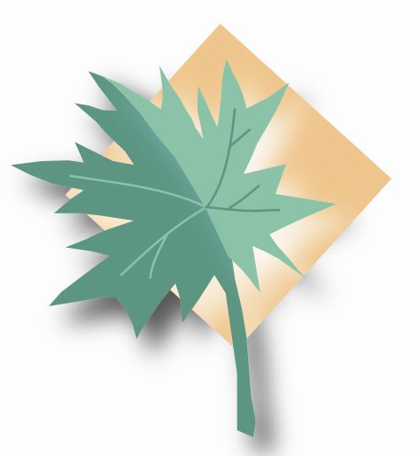 Maple Lawn Senior Care