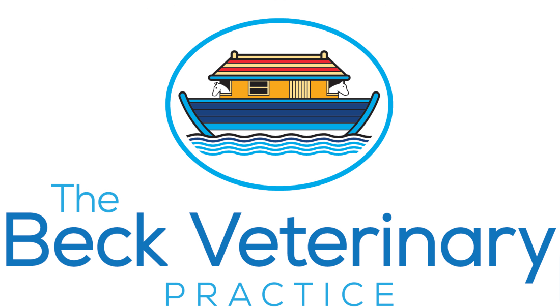 Whitby Vets The Beck Veterinary Practice