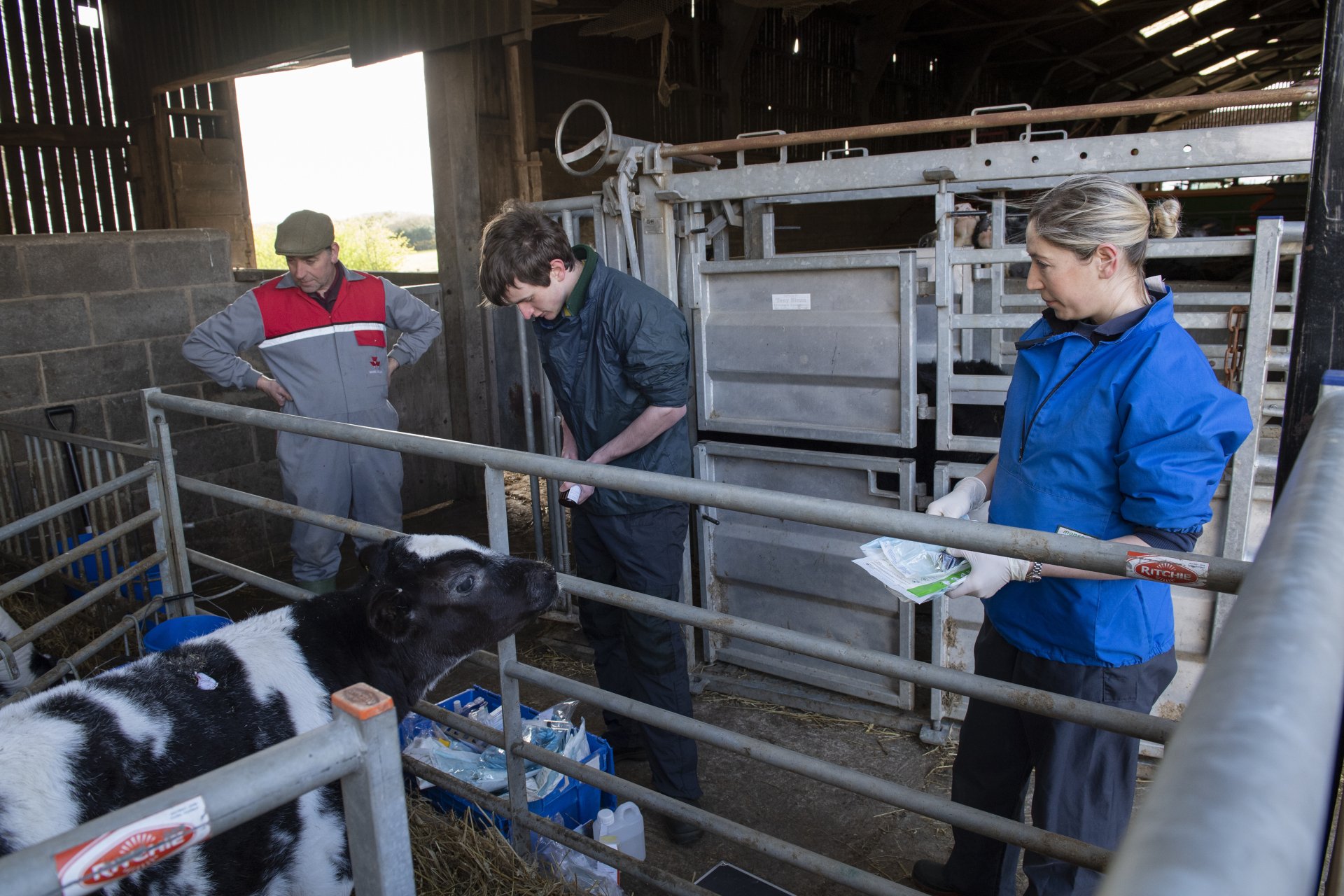 Whitby Vets The Beck Veterinary Practice