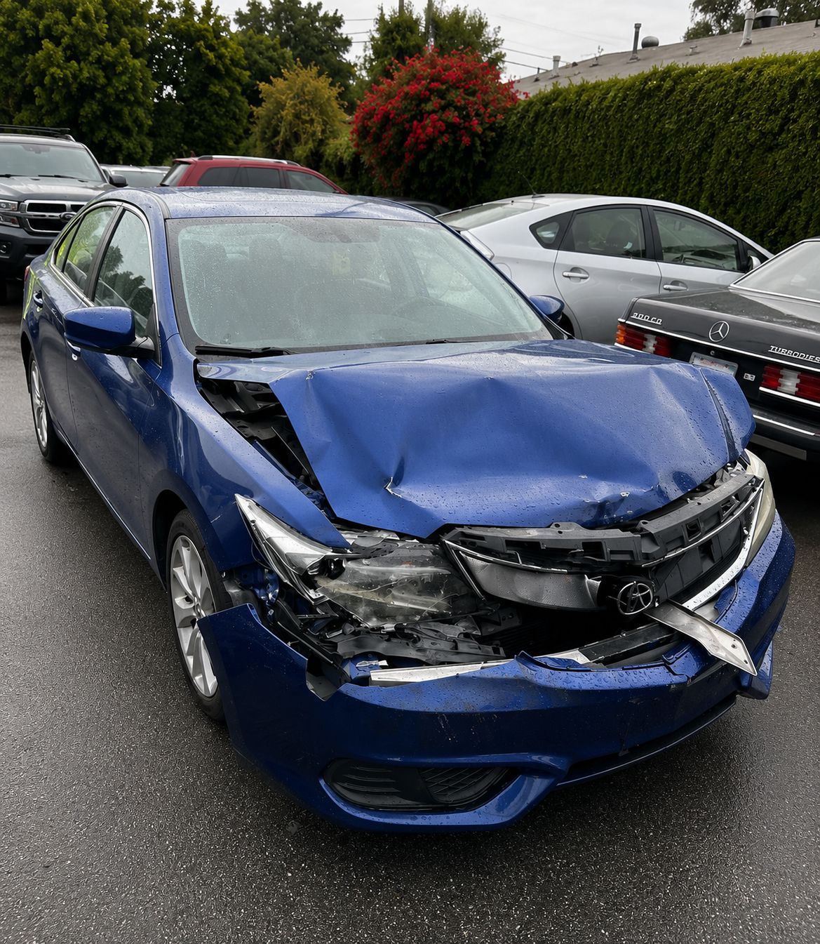Blue sedan with severe front-end crash damage, parked in a wet lot beside other cars and hedges