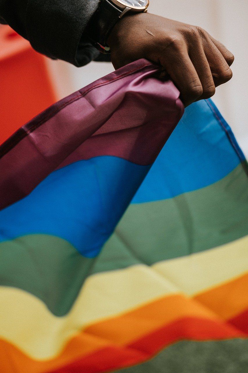LGBTG flag LGBTG flag
