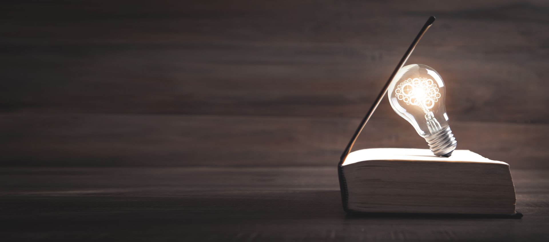 lightbulb in a book