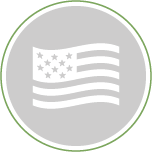 American flag icon