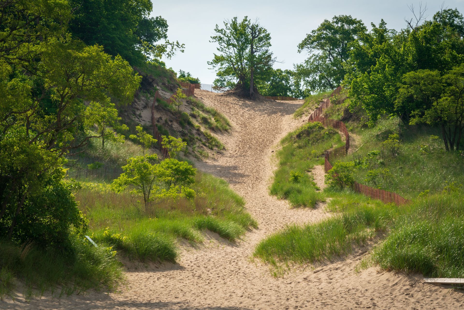 sand-dunes