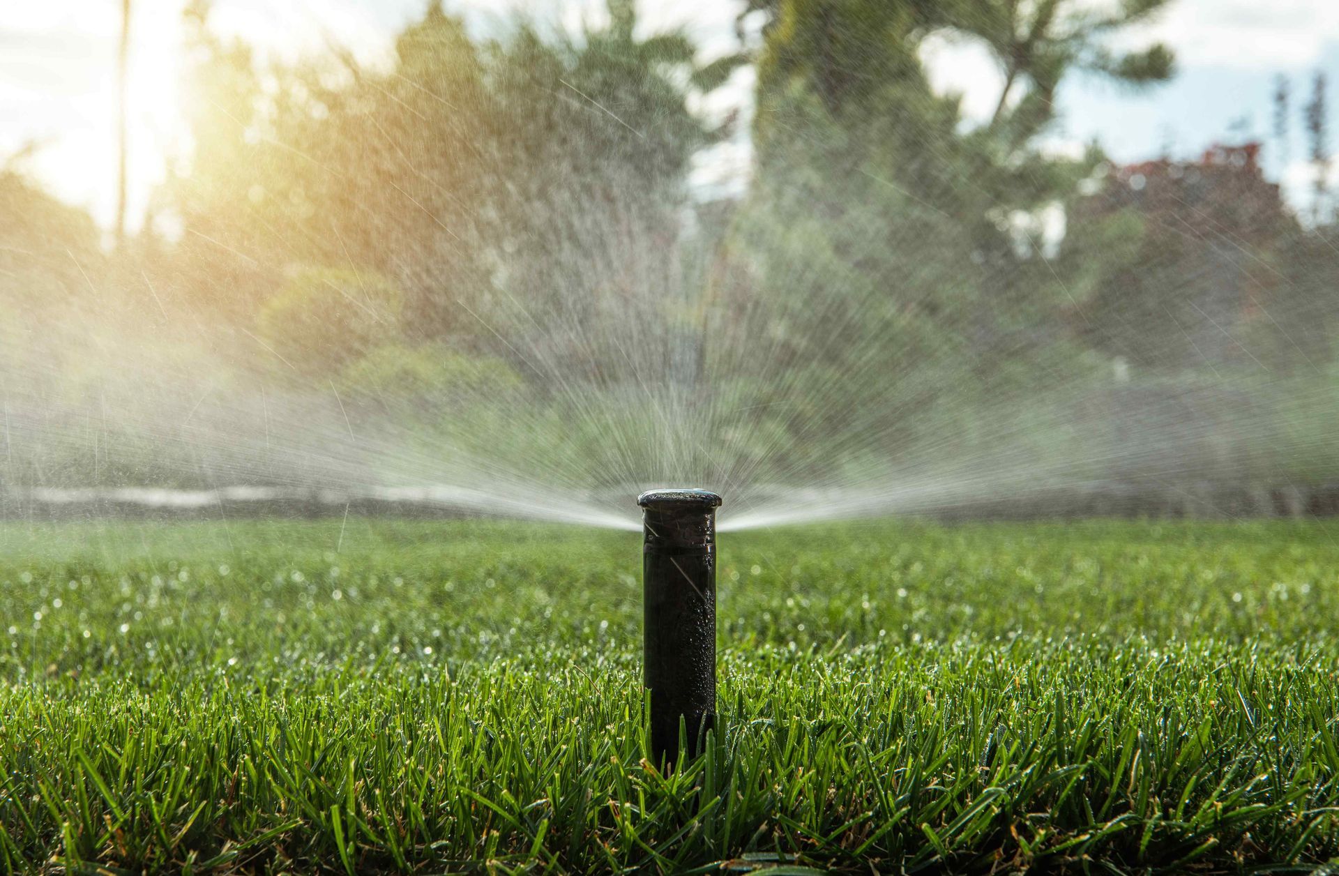 Sprinkler Blowout Service Idaho Falls ID