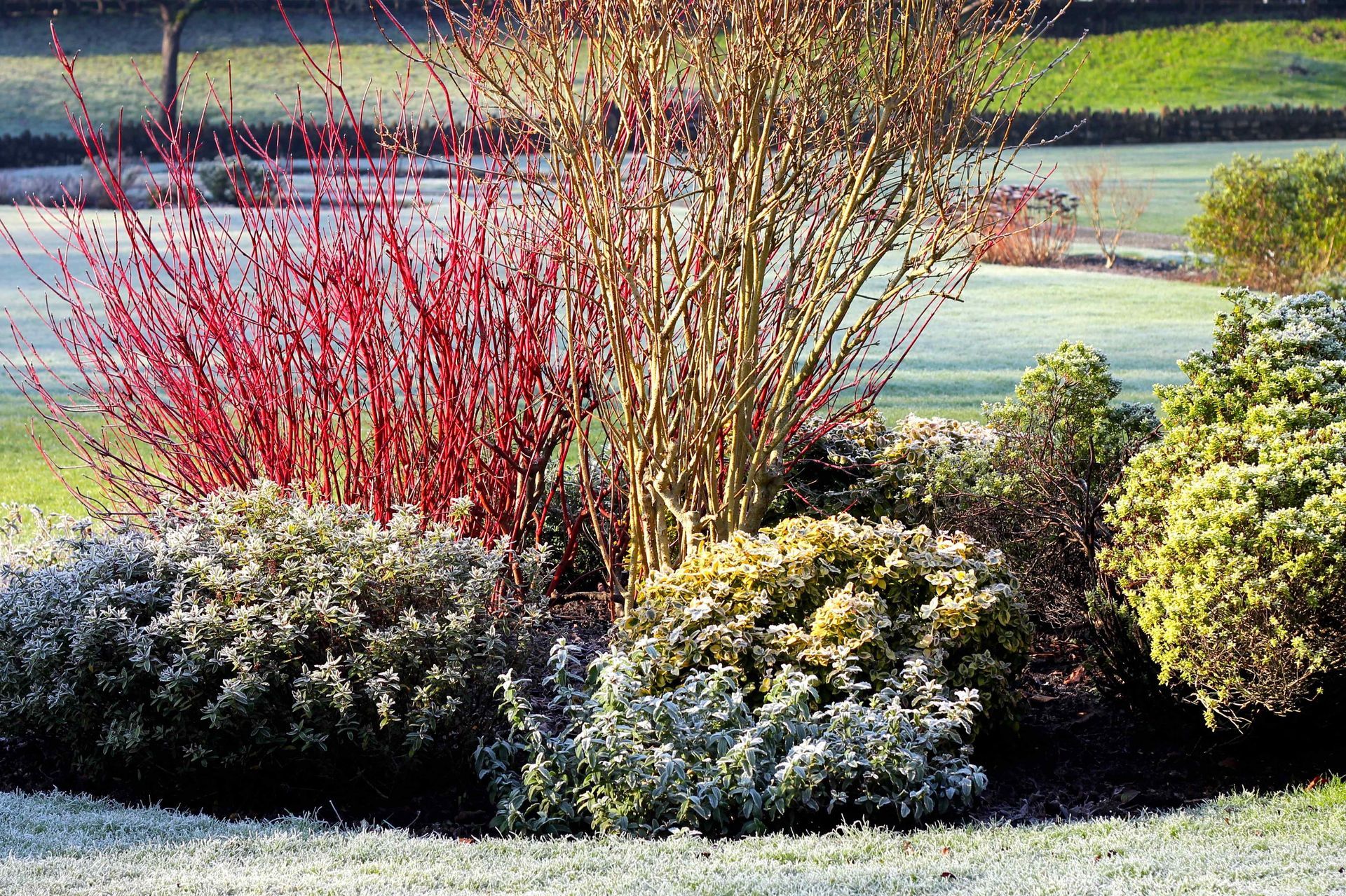 Professional Sprinklers in East IDaho