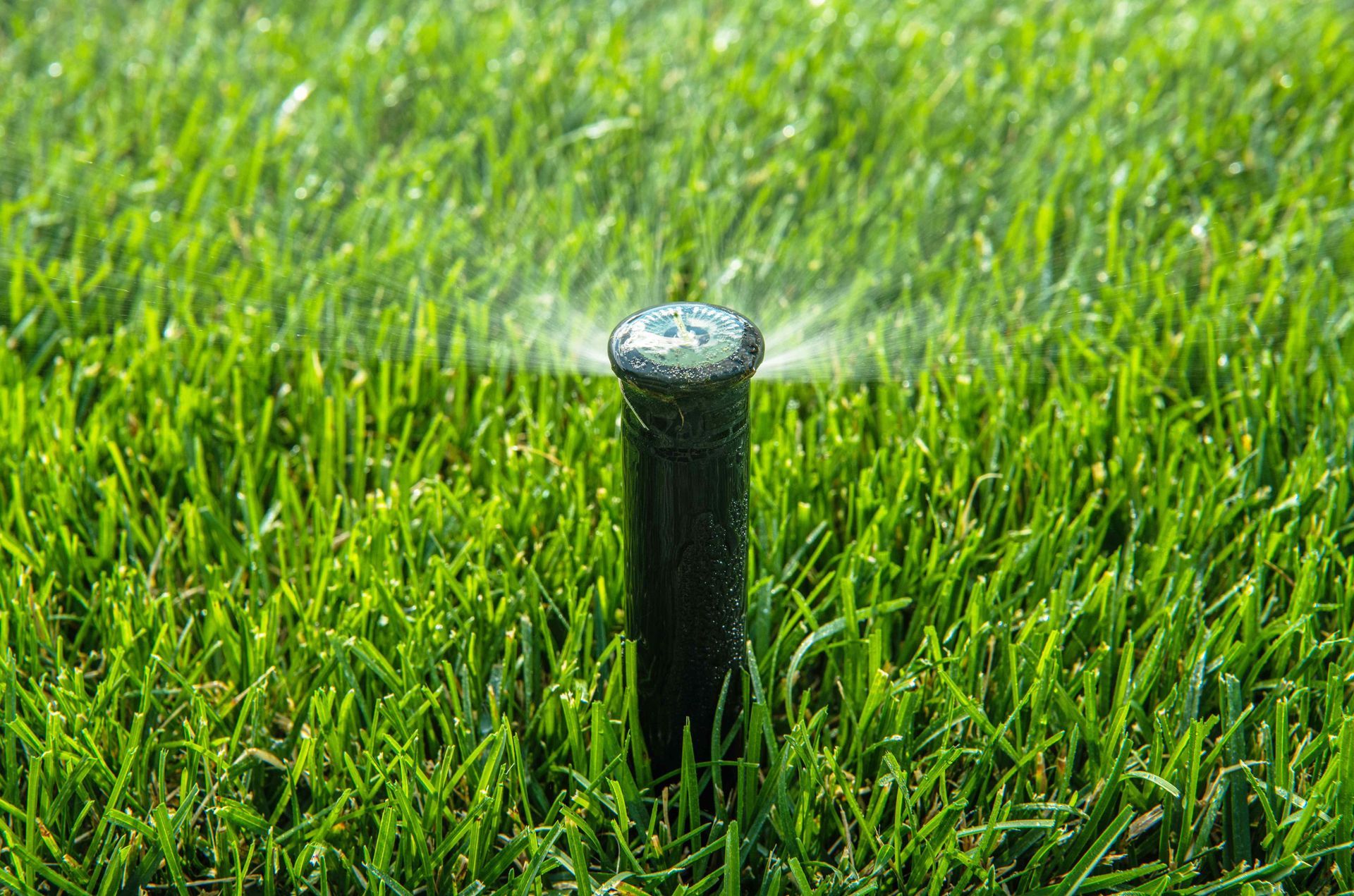 Sprinkler Blowout