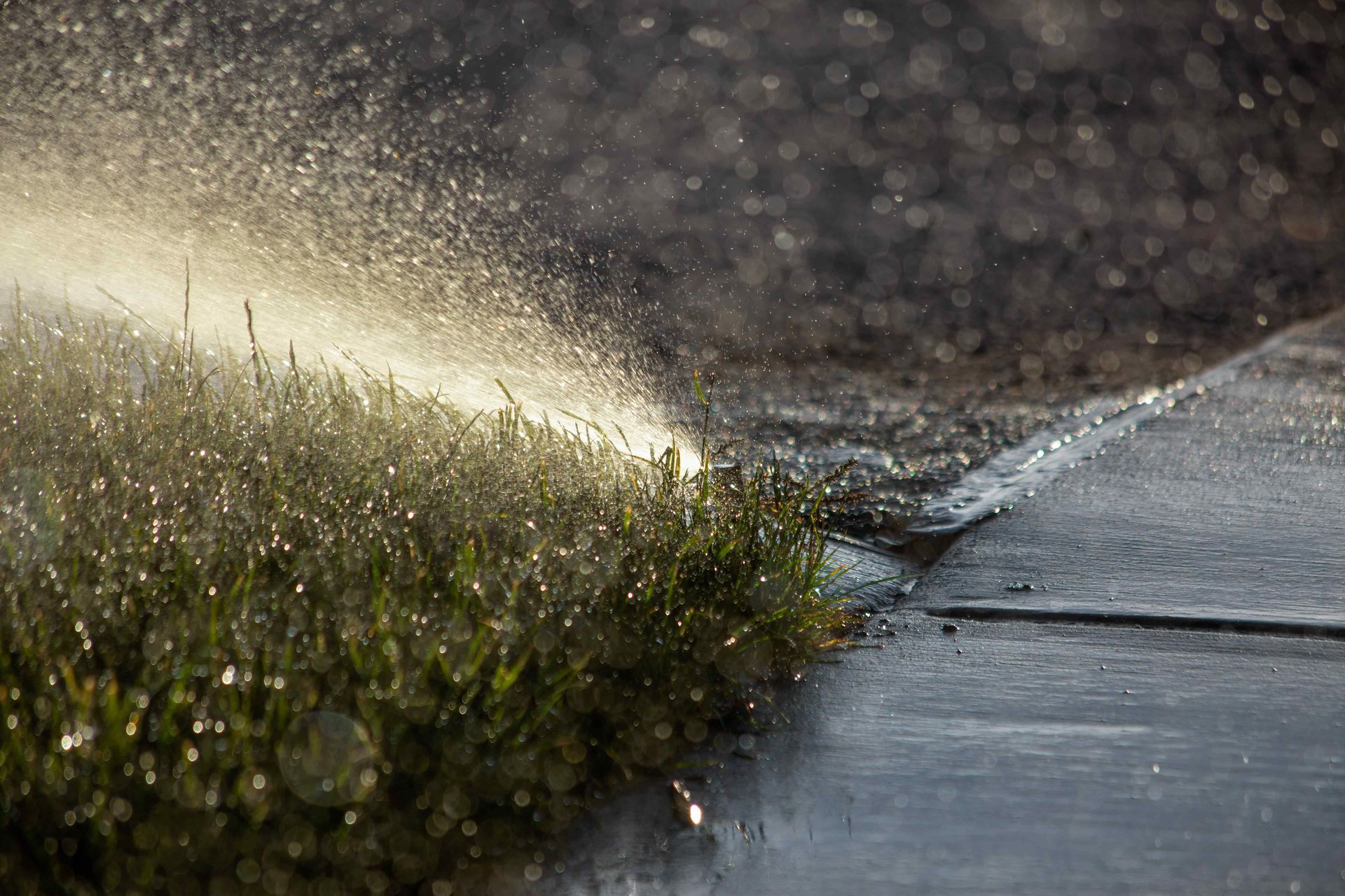 Sprinkler Repair