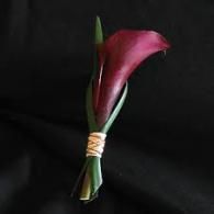 Single purple calla lily with green leaves tied with tan twine on a black background