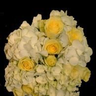 Cream and yellow rose bouquet with white flowers against a black background
