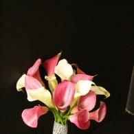 Pink and white calla lilies in a bouquet against a black background