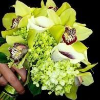 Yellow and white orchid bouquet with green blooms, held by a hand against a black background