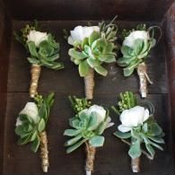 Six small white and green boutonniere-style floral arrangements arranged in two rows on a dark surface.